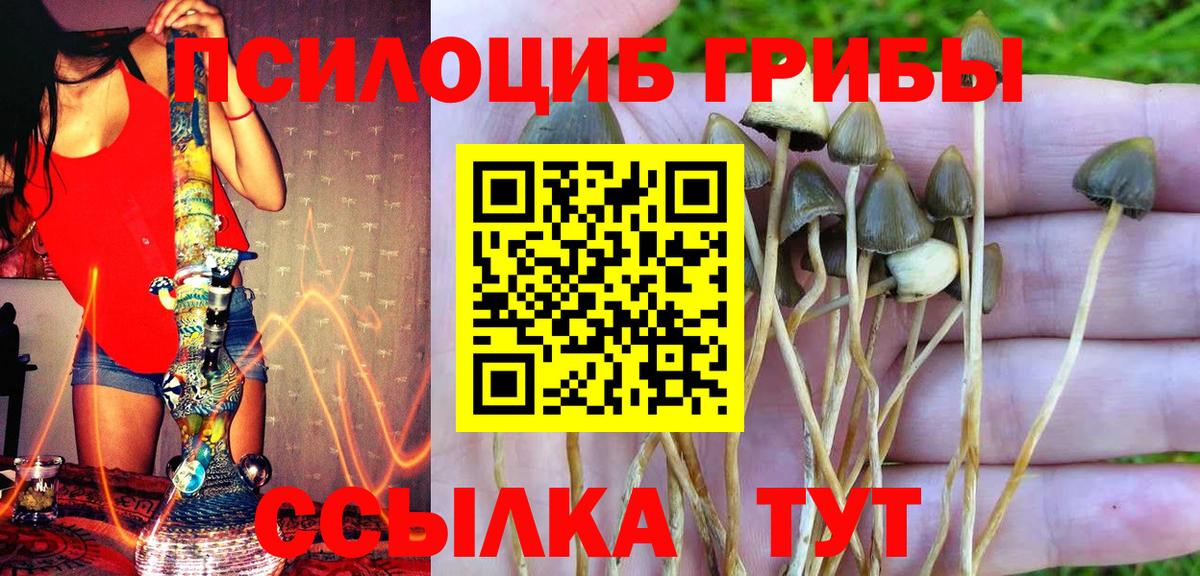Купить наркотики цена  Мефедрон кристаллы  A PVP СОЛЬ   Коркино  Гашиш  Бошки Шишки  Cocaine  Вход с VPN 